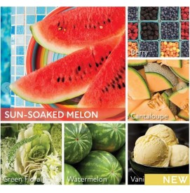 Sun-Soaked Melon - 680g - 2-Docht Cheerful Candle