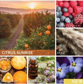 Citrus Sunrise - 170g - 1-Docht Kerze Cheerful Candle