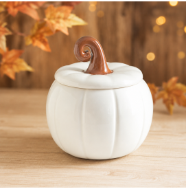 Pumpkin Kürbis Duftlampe...